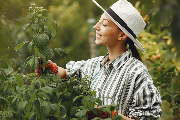 health benefits of gardening improves metal health