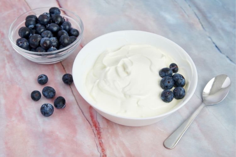 Greek yogurt health benefits